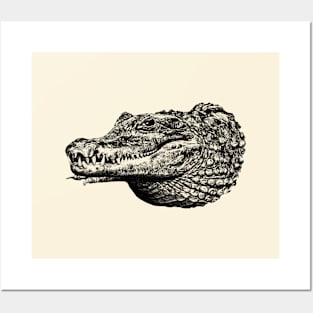 Crocodile Posters and Art